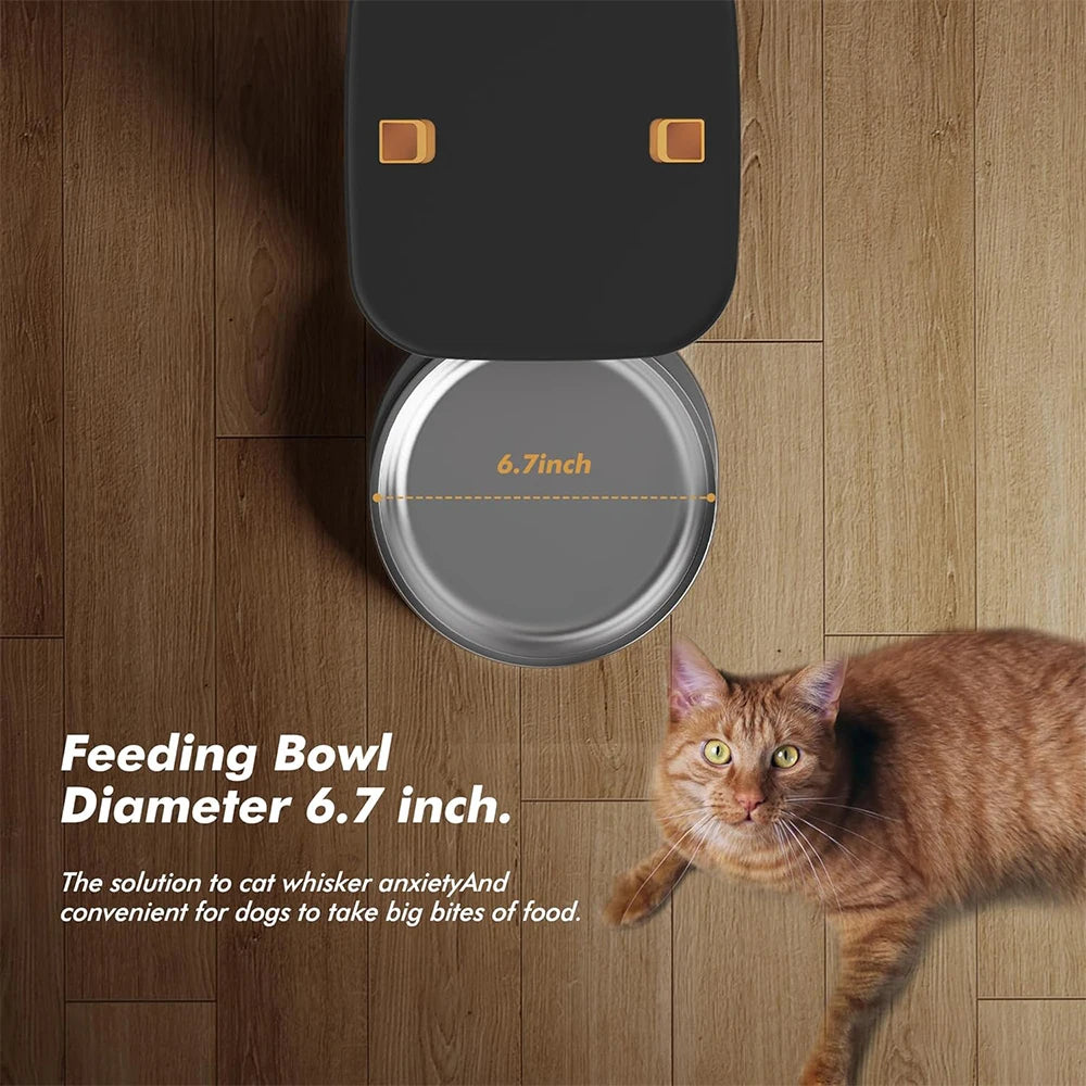 Automatic Dog Feeder with Key Control